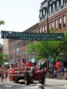 2017 Strolling of the Heifers in Brattleboro, Vermont