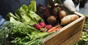 Brattleboro Farmers Market