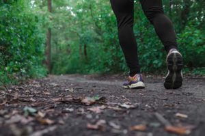 Brattleboro Retreat Trails