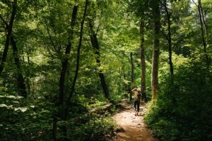 woman on forest walking trail