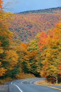 Country road through fall foliage