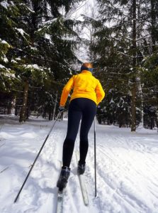 Ski vacation cross country forest trail