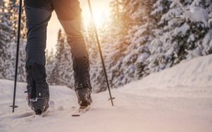 Cross Country Skiing Winter Ski And Legs Closeup.