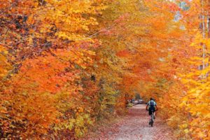 Biking in colorful woods with Autumn foliage in Vermont