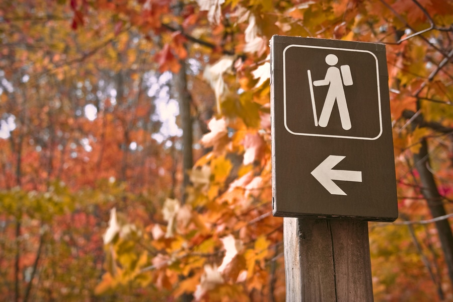 Sign pointing to great fall hiking trails in the autumn woods
