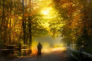 Person biking in the countryside surrounded by fall foliage, one of the best hings to do in Brattleboro VT
