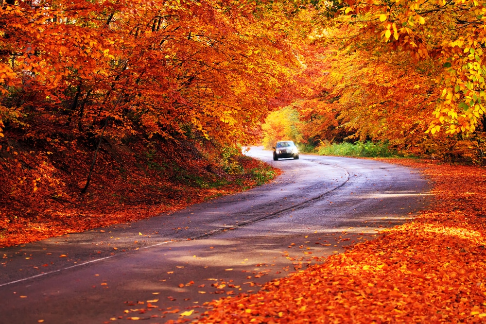 Vermont in the fall is full of beautiful scenic drives like this one
