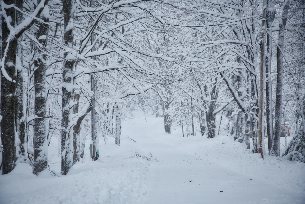 Enjoy this winter wonderland while enjoying all of the great things to do in Vermont this winter