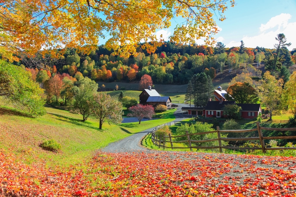 Enjoy Some of the Best Vermont Scenic Drives Near Brattleboro! 8 Vermont Farm and barn during the stunning fall foliage season.