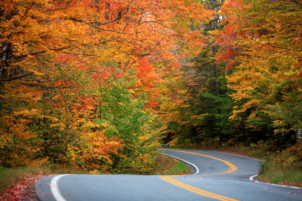Enjoy Some of the Best Vermont Scenic Drives Near Brattleboro! 4 Vermont fall foliage during a Vermont scenic drive.