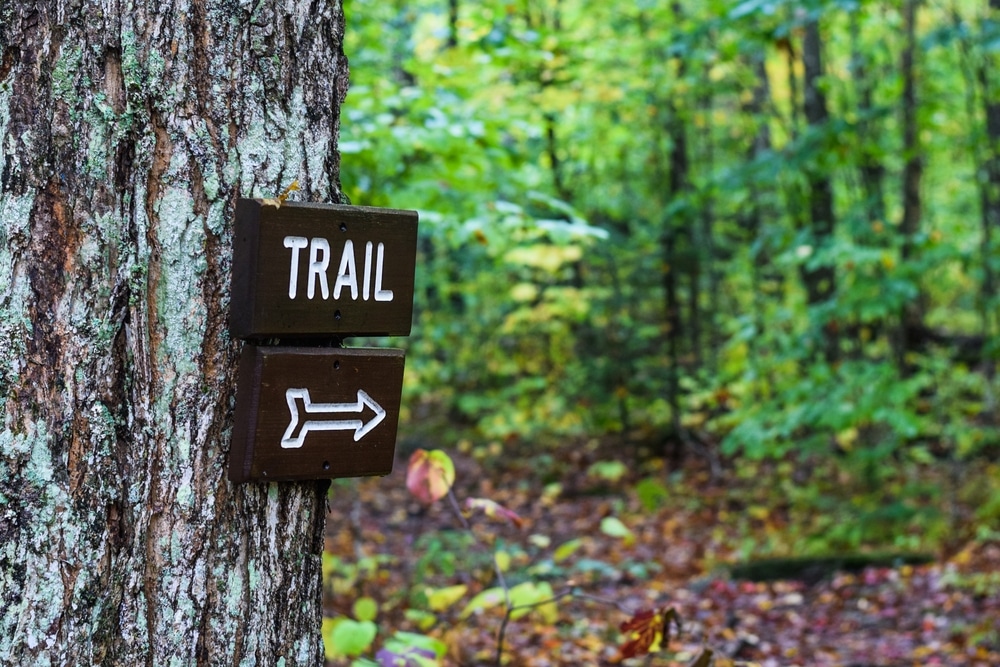 Sign pointing to hiking trails at places like Fort Dummer State Park near our Vermont Bed and Breakfast