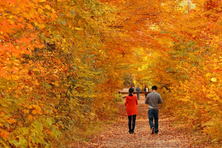 People walking through fall foliage and enjoying the best of Vermont in the Fall while staying at our Vermont Bed and Breakfast
