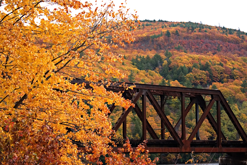 After seeing the Vermont Creamery Bridge and other Vermont Covered Bridges, take time to enjoy beautiful scenery like this around our Vermont bed and Breakfast in Brattleboro