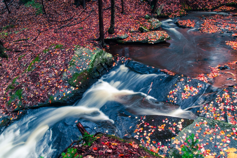 fall foliage and a waterfall at Chesterfield Gorge, NH near our Brattleboro Bed and Breakfast